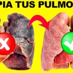 ¿Cómo limpiar los bronquios y pulmones de forma natural?