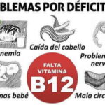 ¿Qué enfermedad se produce por la falta de vitamina B12?
